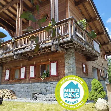 Morzine Guest Chalet Hypercenter Hot Tubs - Sauna & Mtb Storage Exterior photo